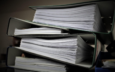 The Government That Wouldn’t Listen: APersonal Journey Through Bureaucratic Obstacles